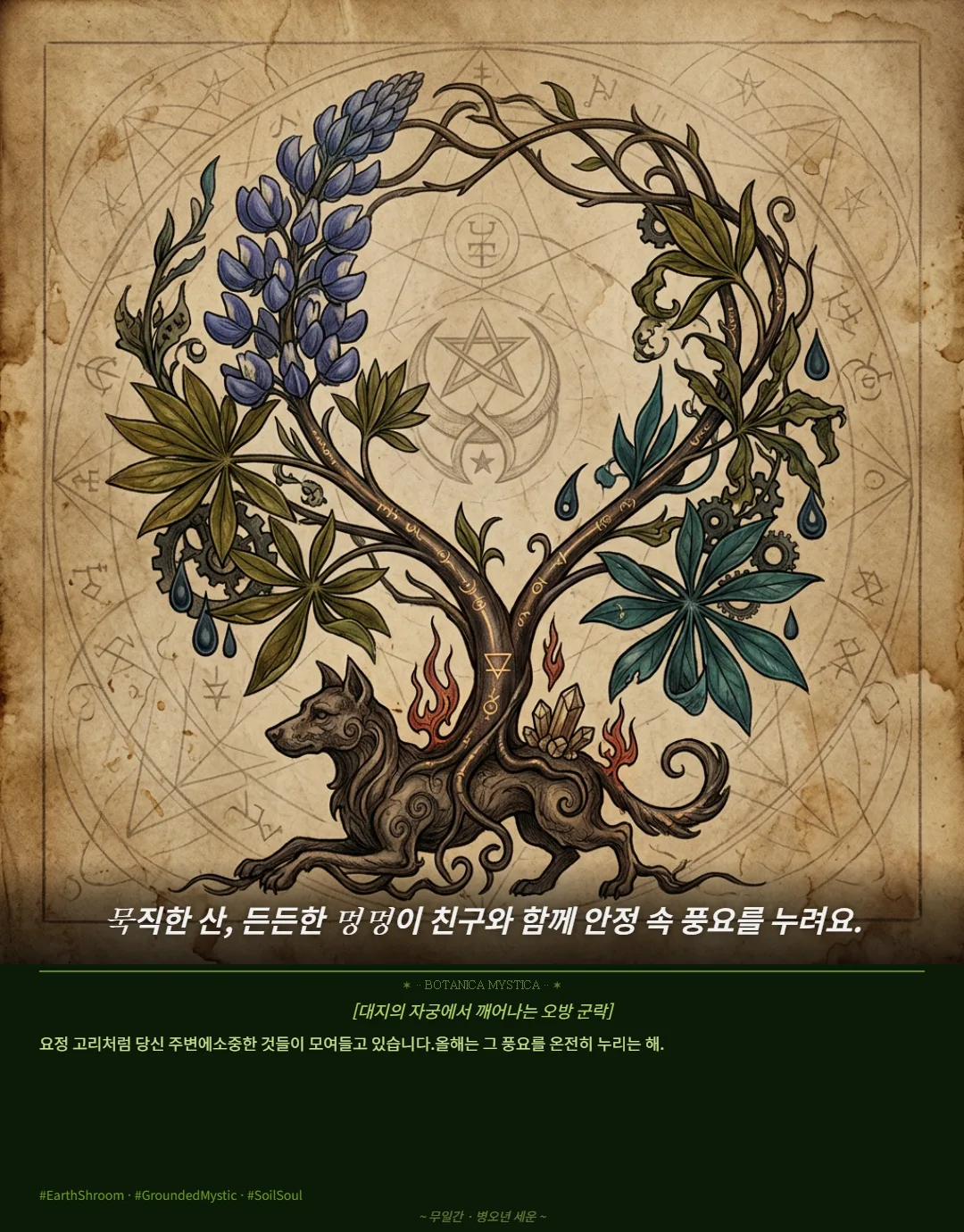 라이프프리즘 샘플 11